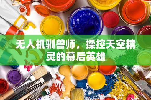 无人机驯兽师，操控天空精灵的幕后英雄