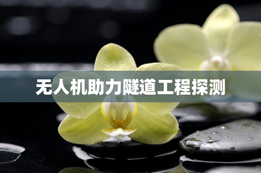 无人机助力隧道工程探测