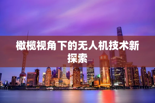 橄榄视角下的无人机技术新探索