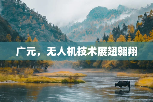 广元，无人机技术展翅翱翔