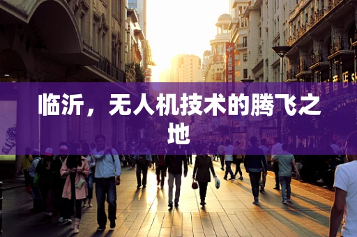 临沂，无人机技术的腾飞之地