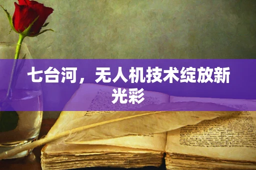 七台河，无人机技术绽放新光彩