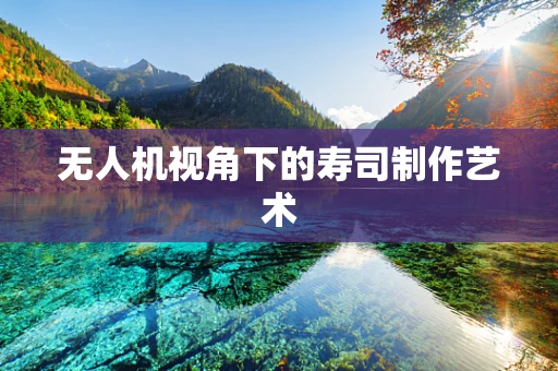 无人机视角下的寿司制作艺术
