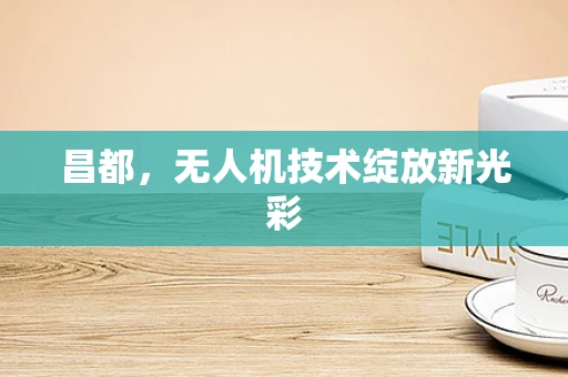 昌都，无人机技术绽放新光彩