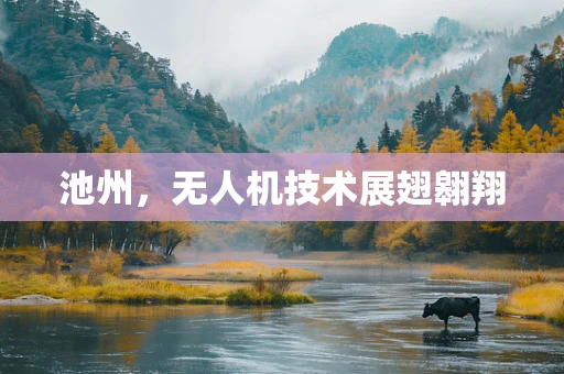 池州，无人机技术展翅翱翔