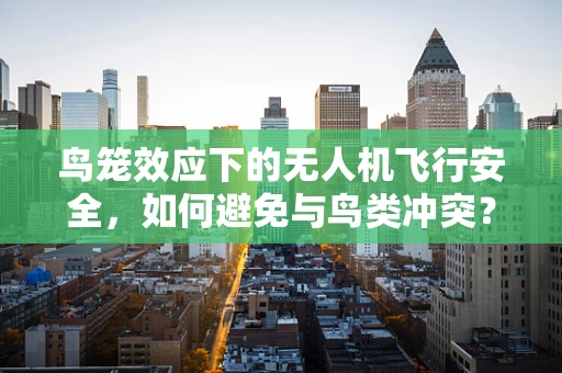 鸟笼效应下的无人机飞行安全，如何避免与鸟类冲突？