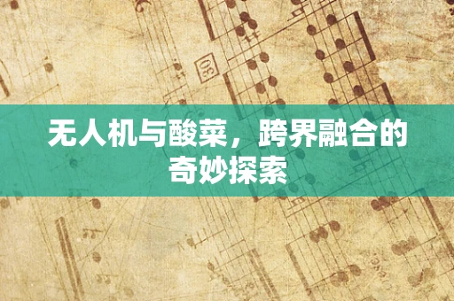 无人机与酸菜，跨界融合的奇妙探索