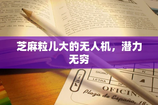 芝麻粒儿大的无人机，潜力无穷