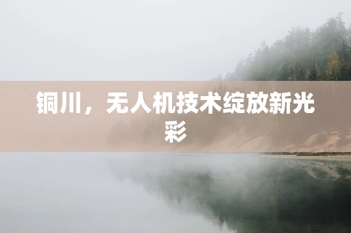 铜川，无人机技术绽放新光彩