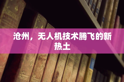 沧州，无人机技术腾飞的新热土