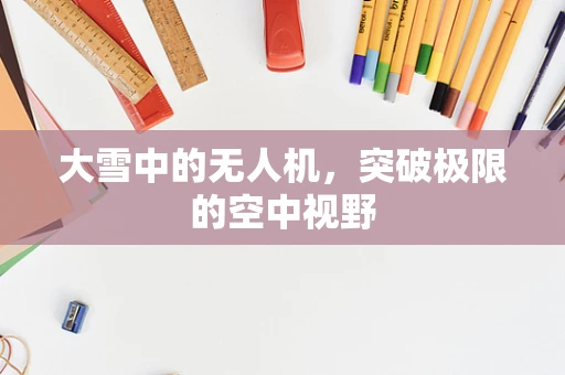 大雪中的无人机，突破极限的空中视野
