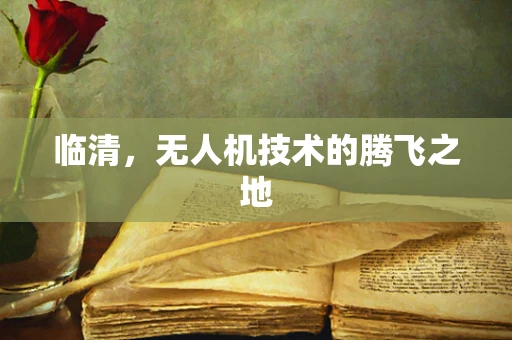 临清，无人机技术的腾飞之地