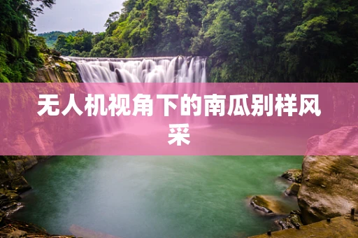 无人机视角下的南瓜别样风采