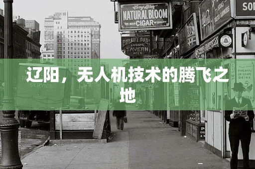 辽阳，无人机技术的腾飞之地