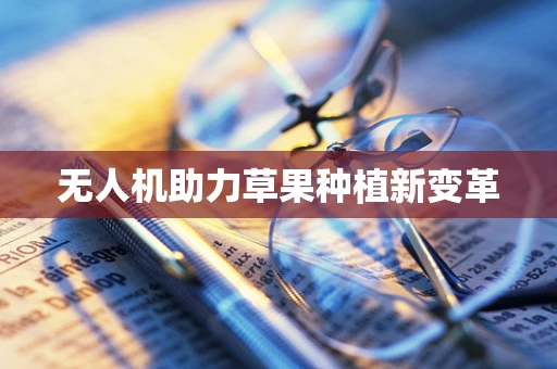 无人机助力草果种植新变革