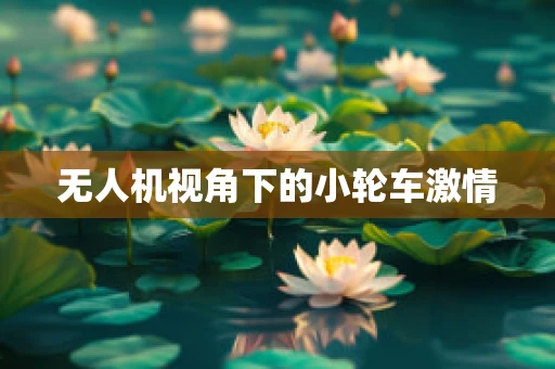 无人机视角下的小轮车激情
