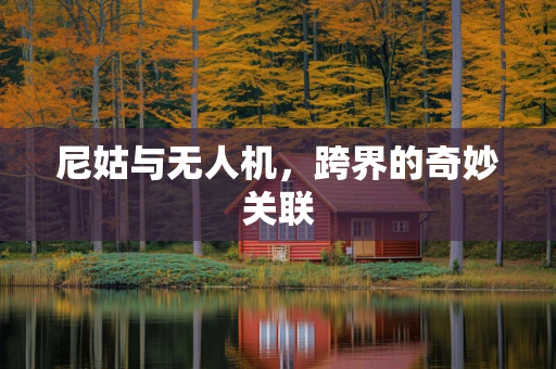 尼姑与无人机，跨界的奇妙关联