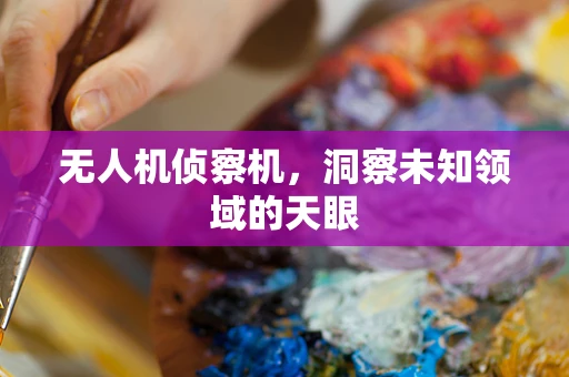 无人机侦察机，洞察未知领域的天眼