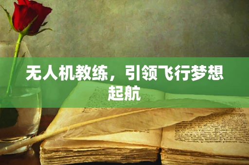 无人机教练，引领飞行梦想起航