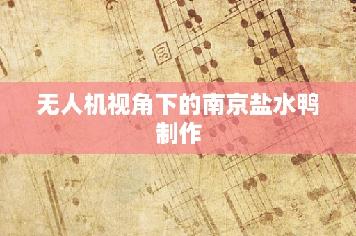无人机视角下的南京盐水鸭制作