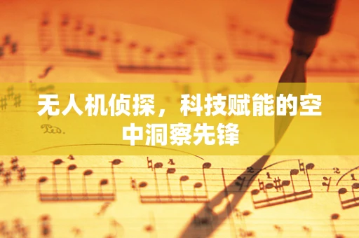 无人机侦探，科技赋能的空中洞察先锋