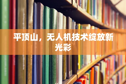 平顶山，无人机技术绽放新光彩