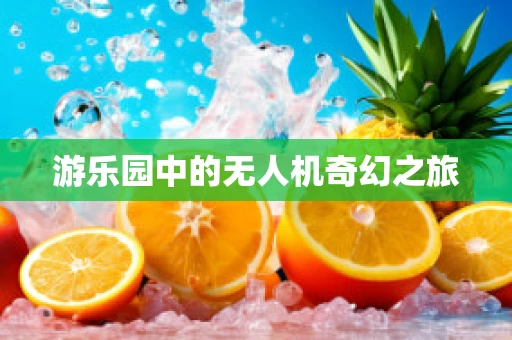 游乐园中的无人机奇幻之旅