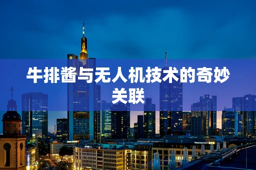 牛排酱与无人机技术的奇妙关联