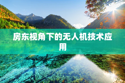 房东视角下的无人机技术应用
