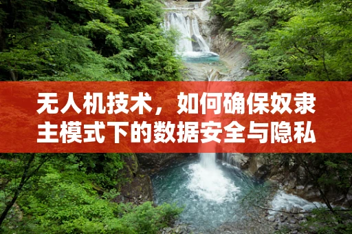 无人机技术，如何确保奴隶主模式下的数据安全与隐私？