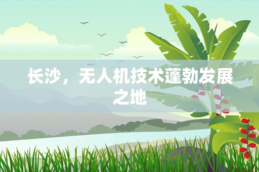长沙，无人机技术蓬勃发展之地
