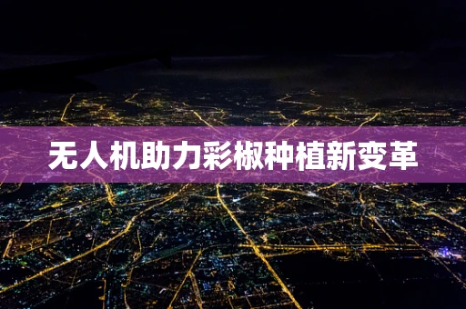 无人机助力彩椒种植新变革