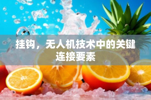 挂钩，无人机技术中的关键连接要素
