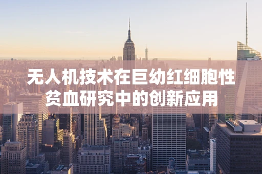 无人机技术在巨幼红细胞性贫血研究中的创新应用