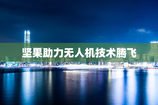 坚果助力无人机技术腾飞