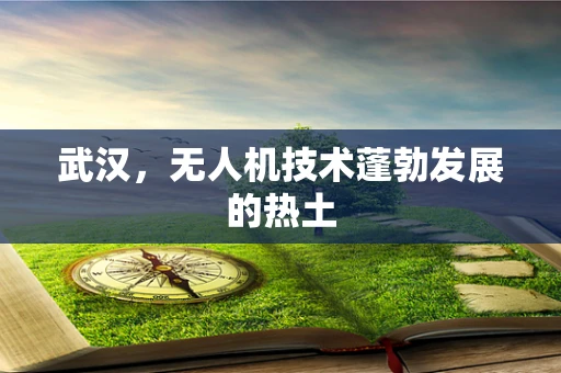 武汉，无人机技术蓬勃发展的热土
