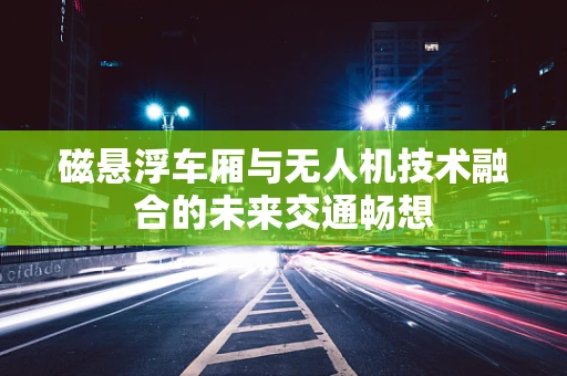 磁悬浮车厢与无人机技术融合的未来交通畅想