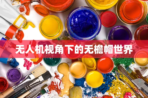 无人机视角下的无檐帽世界