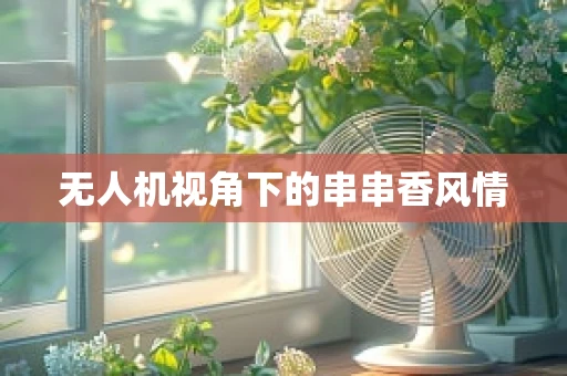无人机视角下的串串香风情