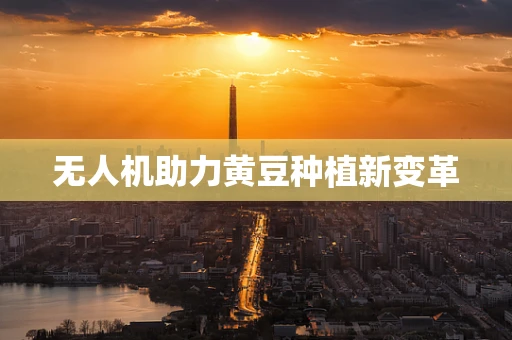 无人机助力黄豆种植新变革