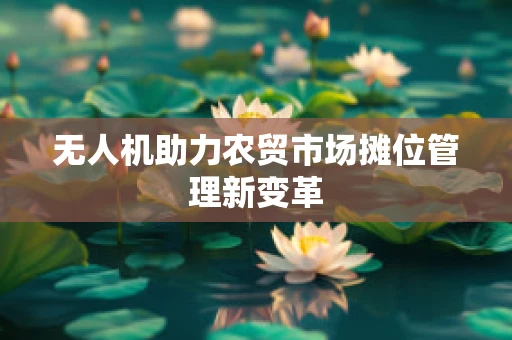 无人机助力农贸市场摊位管理新变革