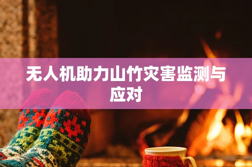 无人机助力山竹灾害监测与应对