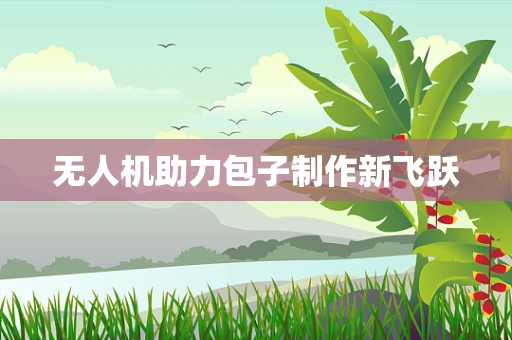 无人机助力包子制作新飞跃