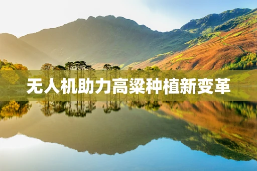无人机助力高粱种植新变革