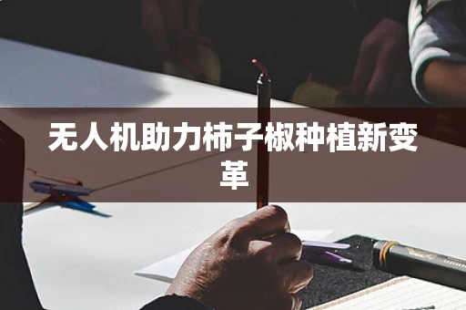 无人机助力柿子椒种植新变革