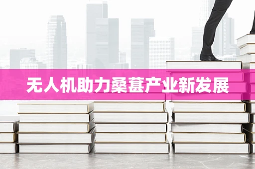 无人机助力桑葚产业新发展