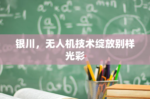 银川，无人机技术绽放别样光彩