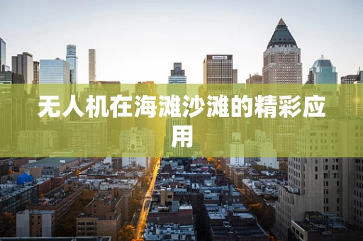 无人机在海滩沙滩的精彩应用