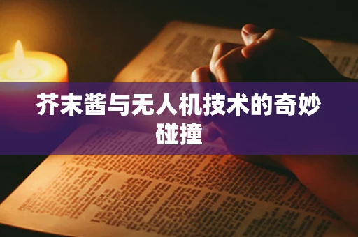 芥末酱与无人机技术的奇妙碰撞