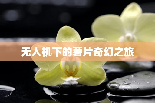 无人机下的薯片奇幻之旅